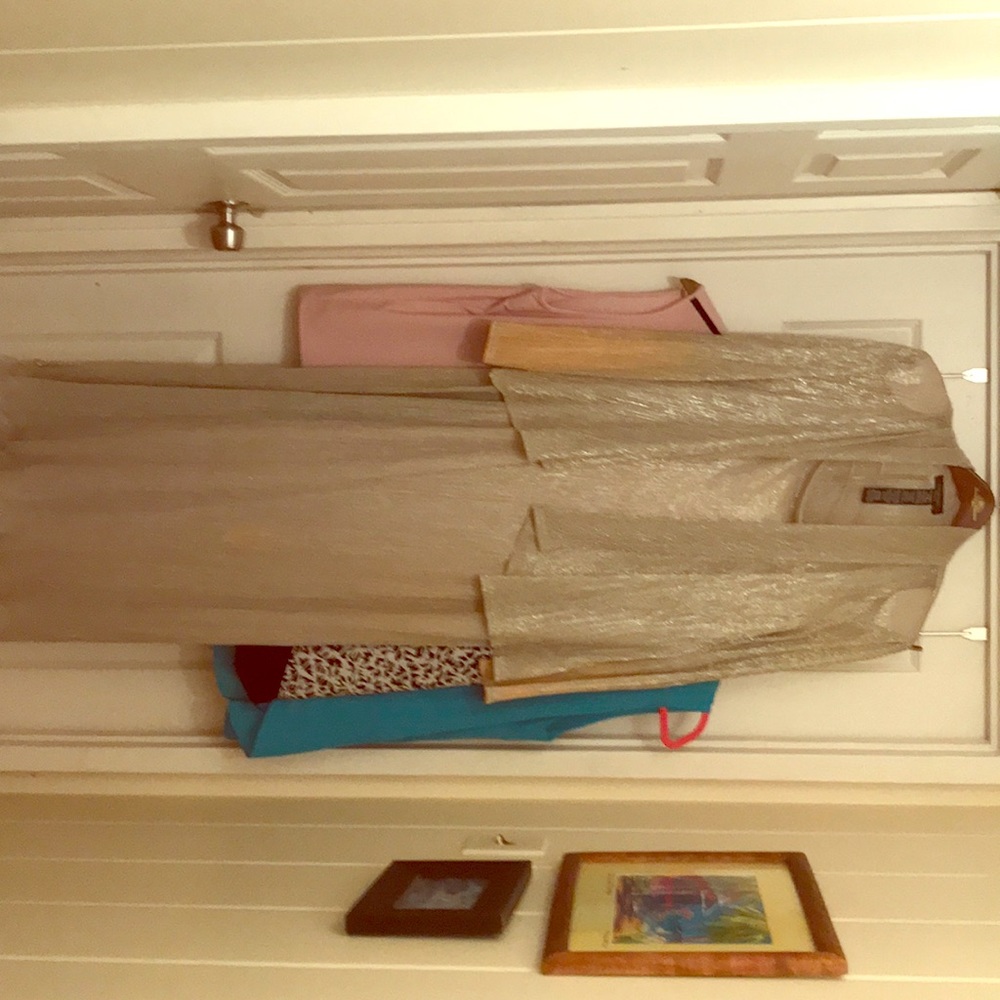 Plus size silver party dress.